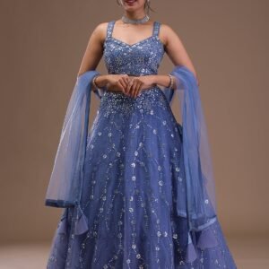 Blue Mirrorwork Net Lehenga