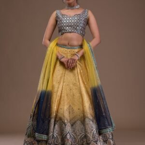Mustard Mirrorwork Banarasi Lehenga