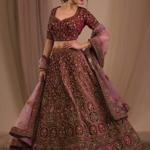 Onion Pink Zariwork Velvet Lehenga