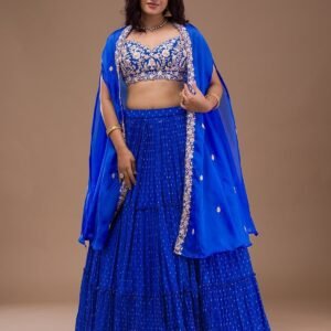 Royal Blue Zariwork Georgette Lehenga